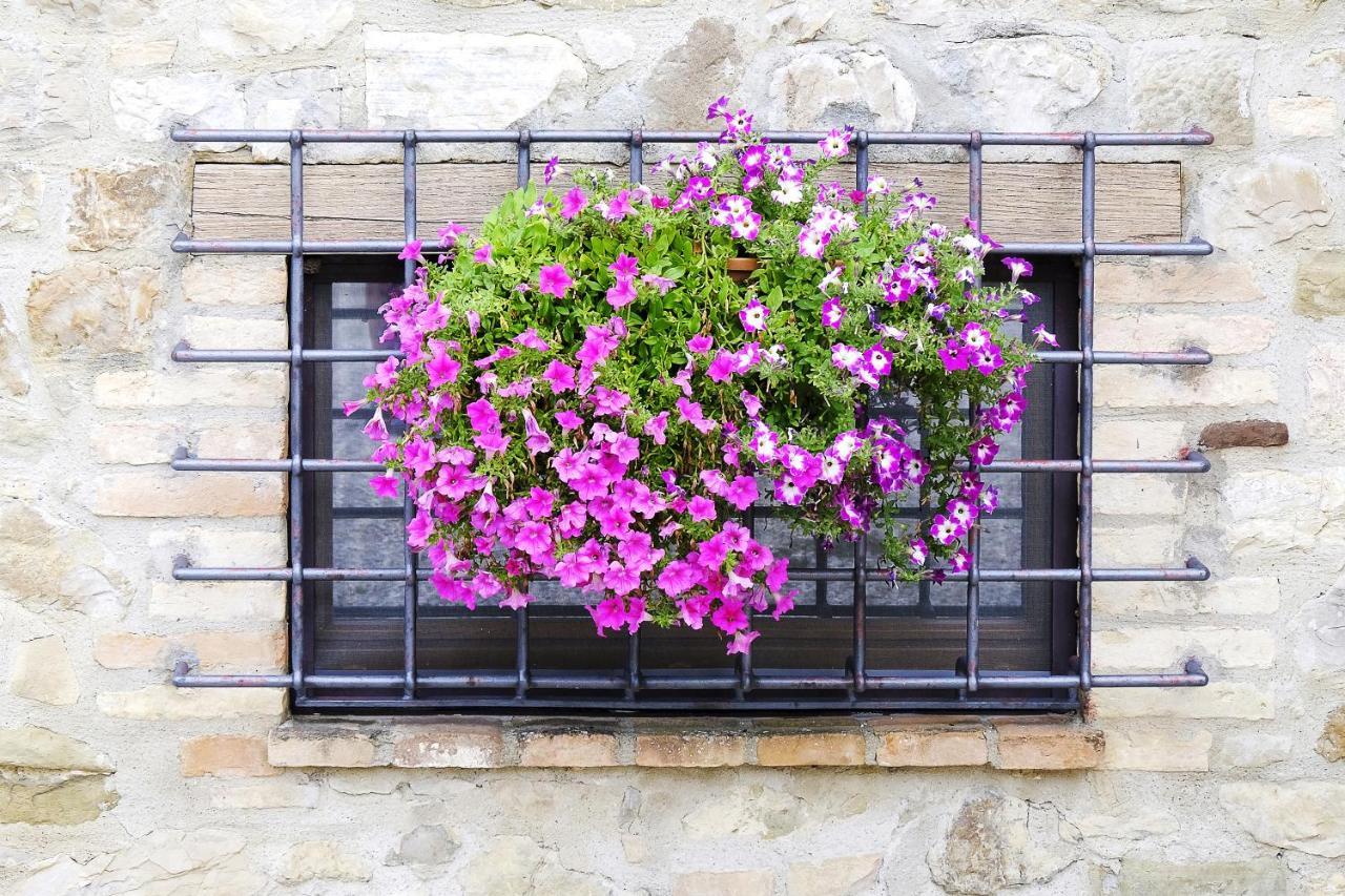 Bed and Breakfast Casale Le Orme Тоди Экстерьер фото